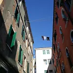 La Galea *